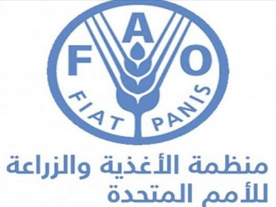 الفاو: ارتفاع أسعار الغذاء العالمية في مارس بسبب حرب إيران
