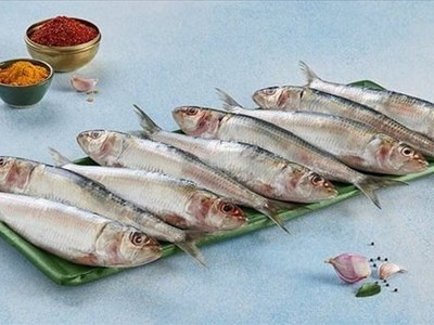 قبل شم النسيم 2026.. تعرف على طريقة عمل السردين المخلل فاطمة أبو حاتي