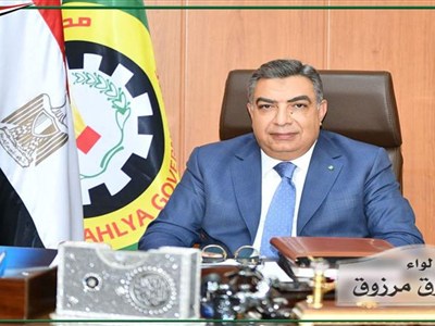 تقديم الخدمات بنفس الكفاءة.. محافظ الدقهلية يعلن آلية تطبيق نظام العمل عن بُعد