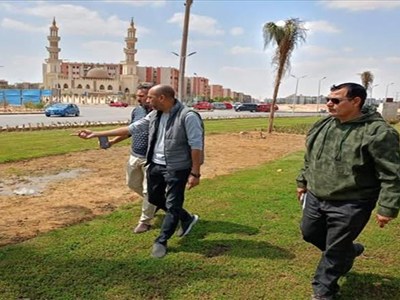 زراعة أكثر من 20 ألف شتلة زهور متنوعة واستبدال النجيل التالف في الشروق