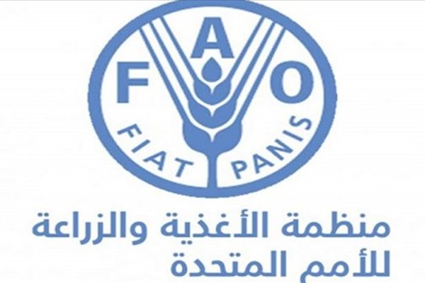 الفاو: ارتفاع أسعار الغذاء العالمية في مارس بسبب حرب إيران