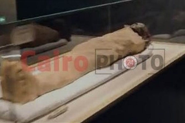 في الذكرى الخامسة لموكب المومياوات الملكية.. ننشر صورًا من داخل قاعة المومياوات بالمتحف القومي للحضارة