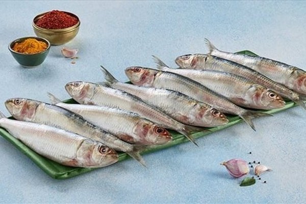 قبل شم النسيم 2026.. تعرف على طريقة عمل السردين المخلل فاطمة أبو حاتي